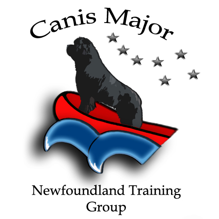 Canis Major Newfoundland